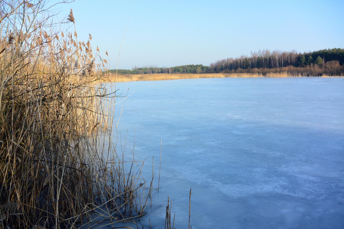 Kvesų karjeras