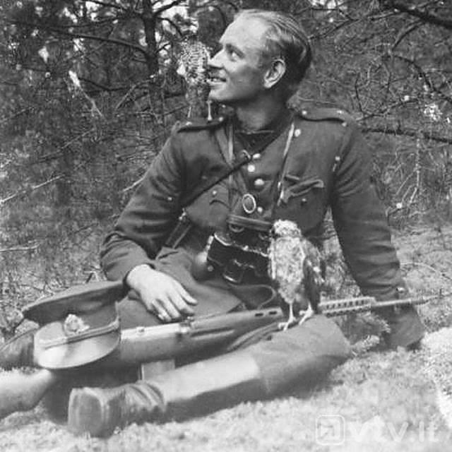 Iš Adolfo Ramanausko - Vanago atsiminimų: (rašyta apie 1954 m.) „Mes ir patys labai gerai supratome, jog esame per silpni, kad galėtume vieni bolševizmui atsispirti, bet vis dėlto ne visi sutikome su tuo, kad leistumės kaip gyvuliai vedami į skerdyklą. <..> Drąsiai stojome nelygion kovon