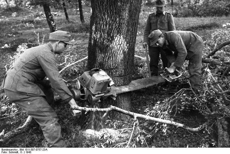 Miško kirtimas Padauguvos miške. 1943