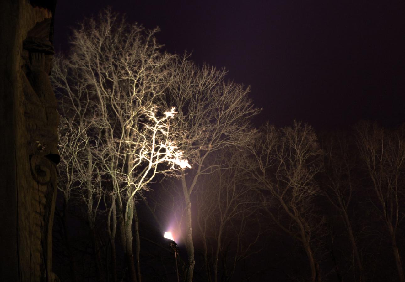 2017 11 17 06:12