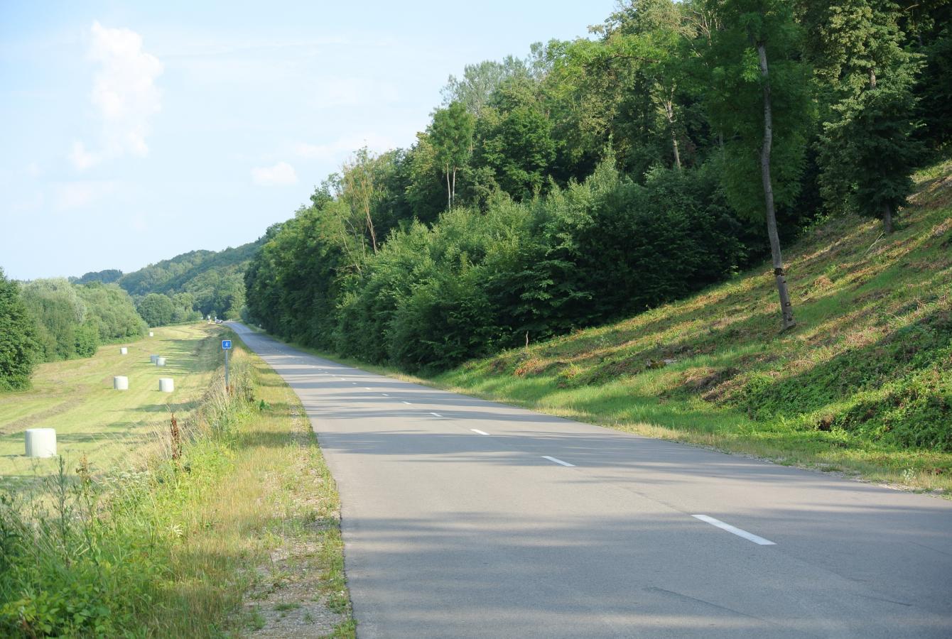 Nujostabesnio kelio dviračiais neteko matyti, iš vieno šonai vėją užstoja Nemuno krantas, iš kito suaugę medžiai, automobilį sutiksi labai retai, plento pavirčius švelnus. Mini ir mėgaujiesi.