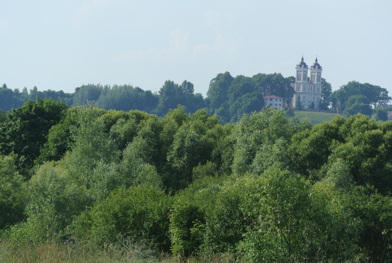 Seredžiaus bažnyčia iš kito Nemuno kranto