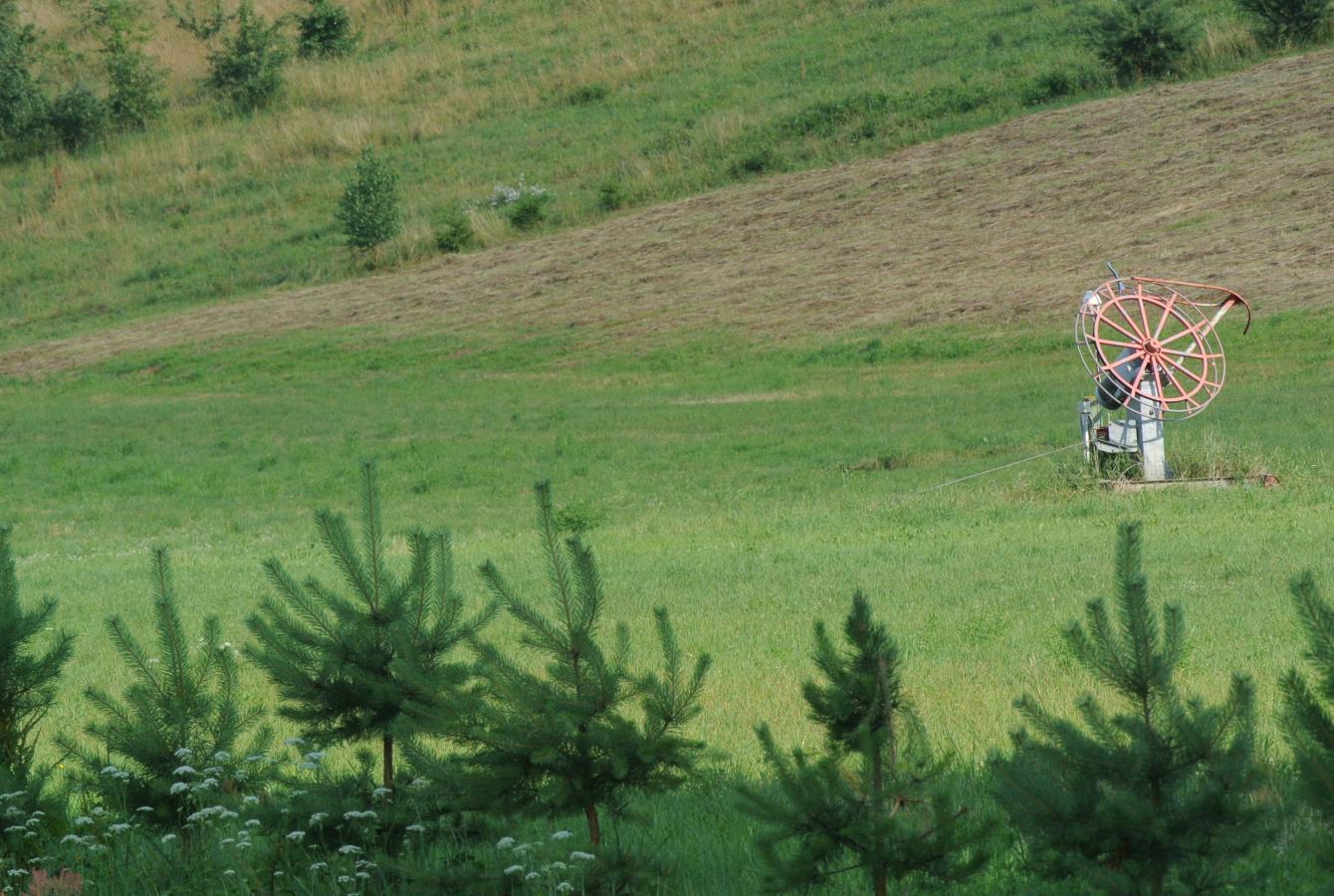 Žiema veikia slidinėjimo trasa