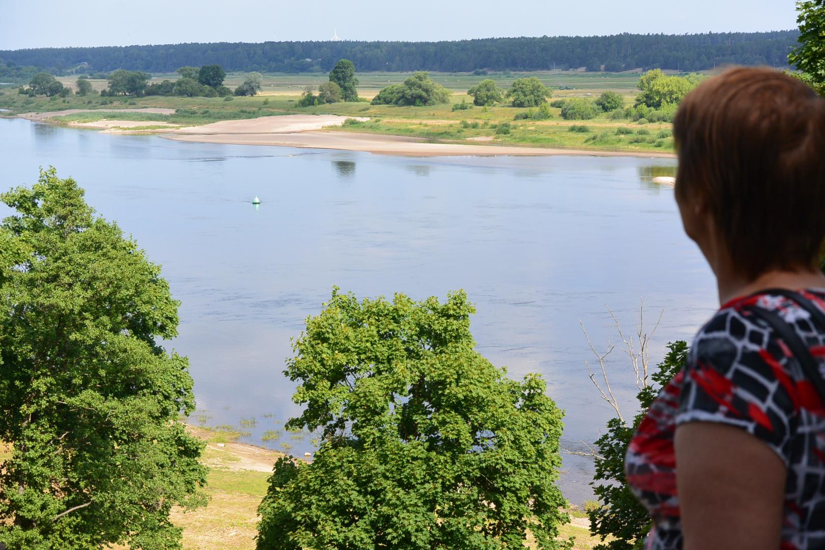 Skaidrė 1