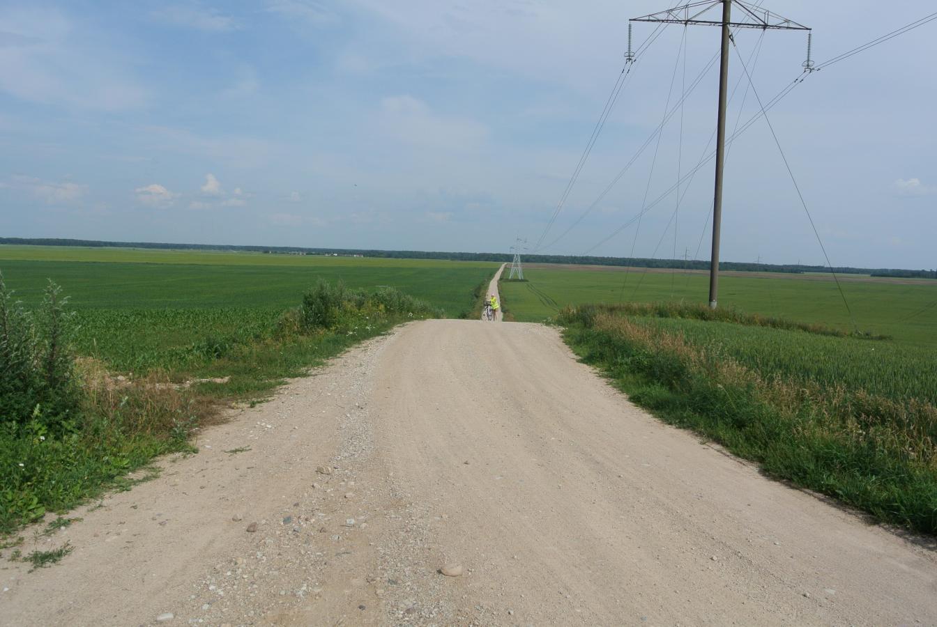 Tolumoje matosi Naujatriobių kaimas. Kelias einantis į Lygainių, Raubatonių kaimą