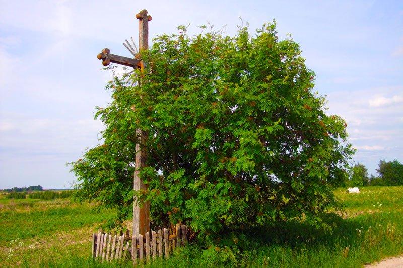 Antalkių kaimo kryžius