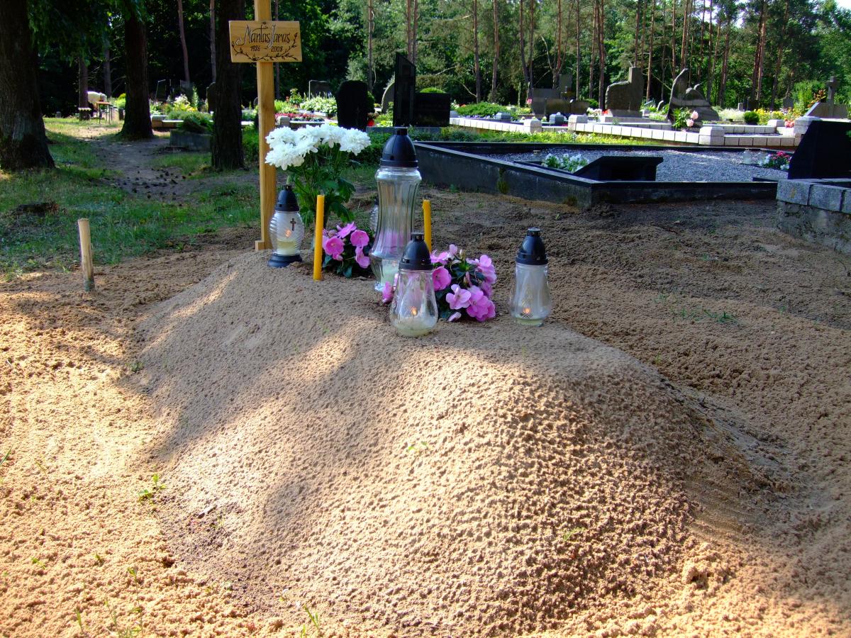 2008 birželio 19