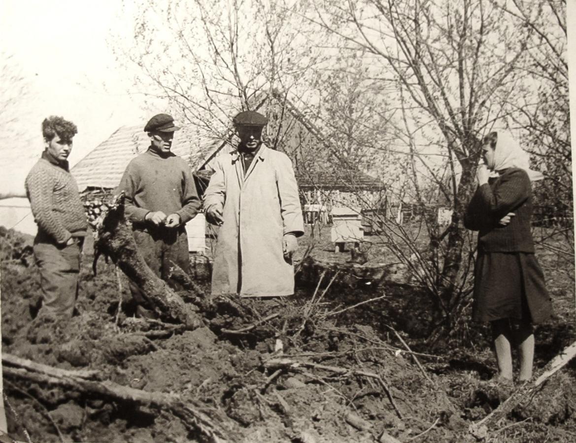 Melioracija Daugužiai. 1968
