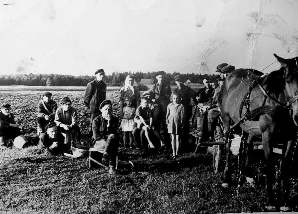 Daugužių kaimo vyrai. Po sėjos dienos. 1960 m