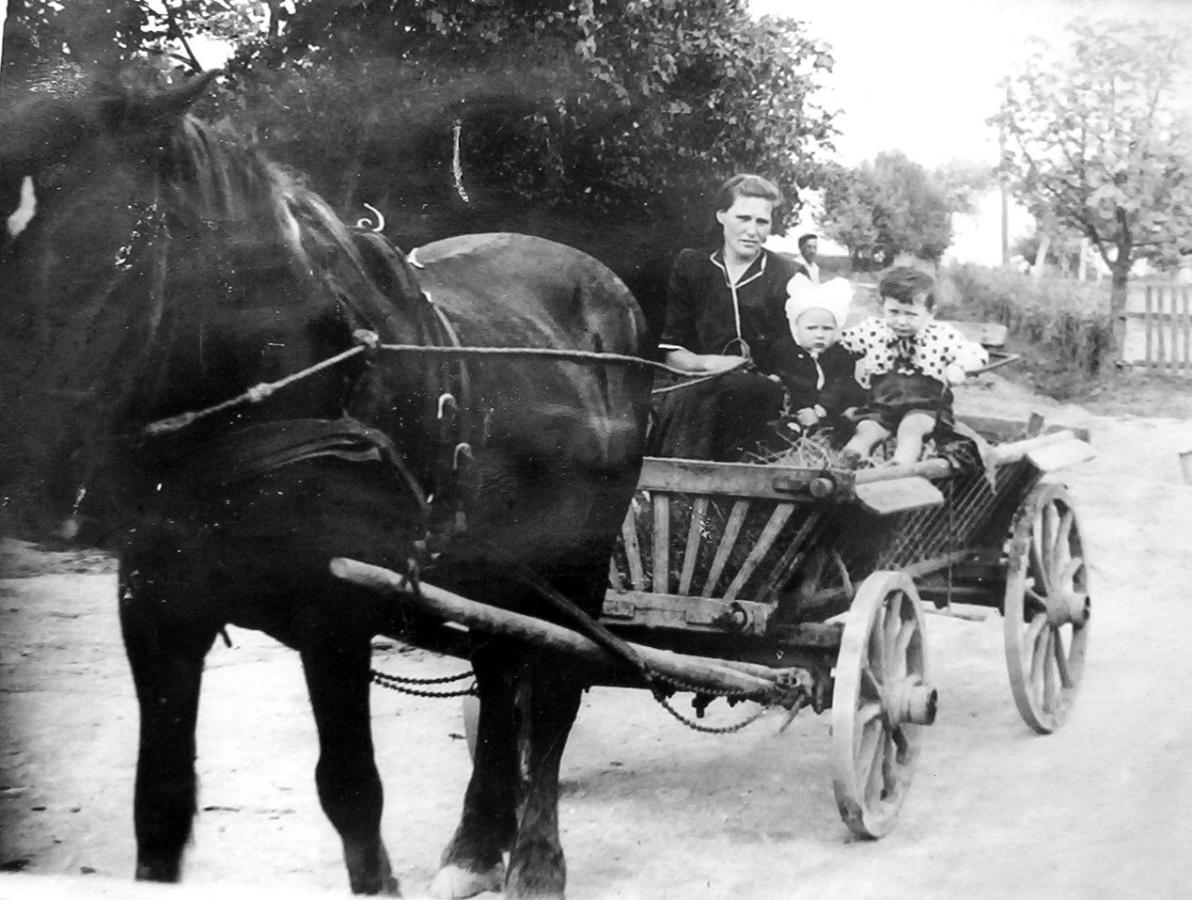 Sankryža prie stotelės ant kalno. 1955