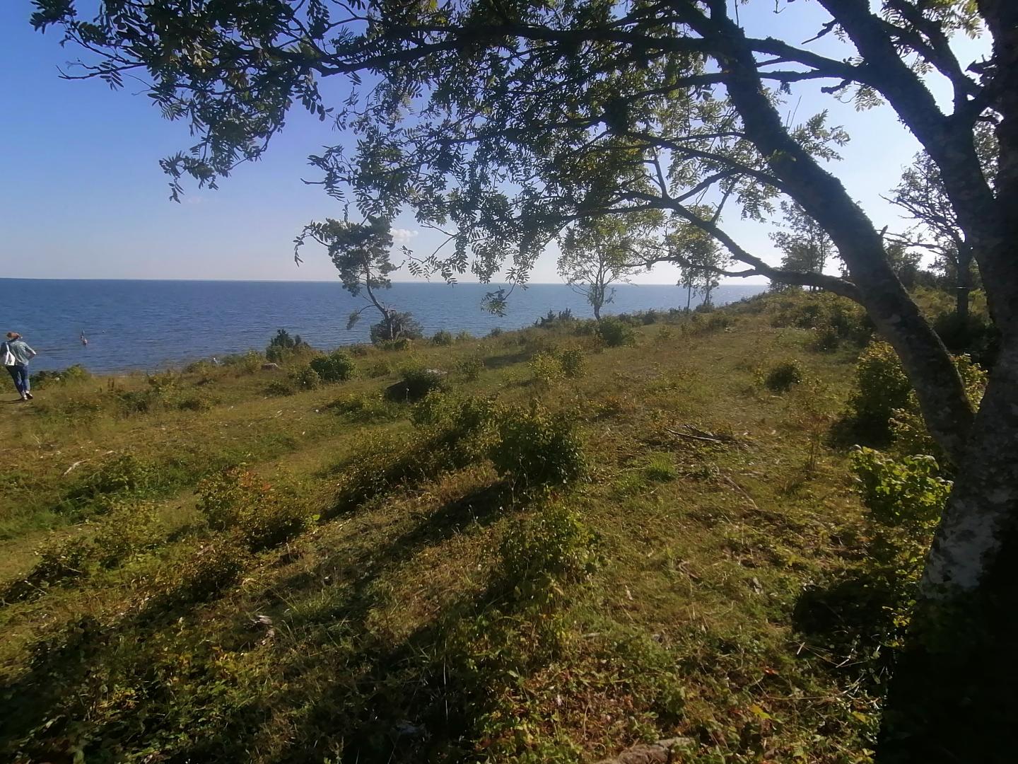 Kasari pusiasalis su unikalaus grožio gamtos kampeliu - Saretirp iškyšuliu