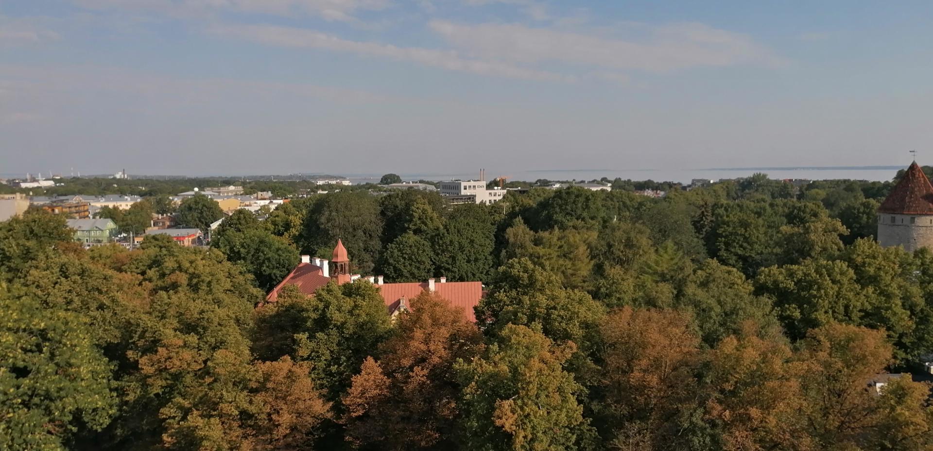 TAlino senamiestis. Apžvalgos aikštelė