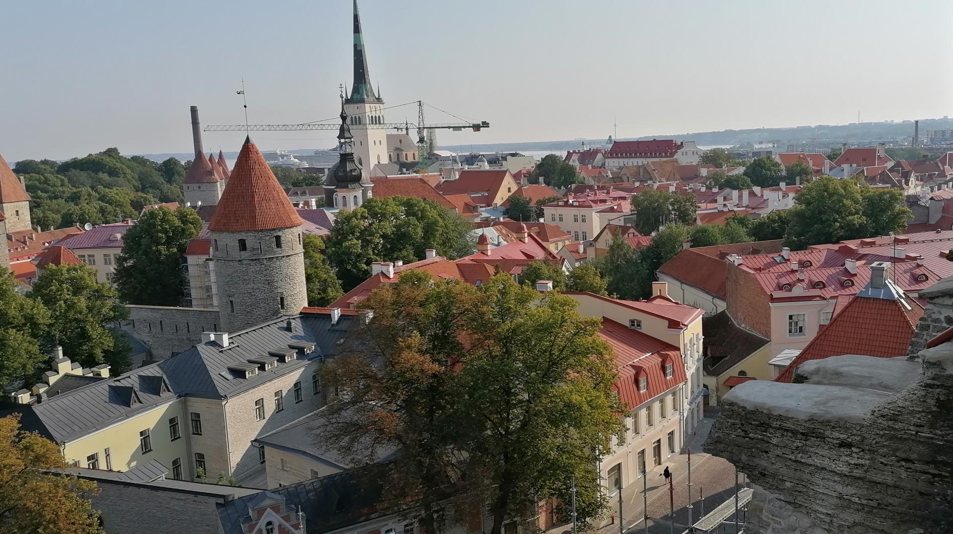TAlino senamiestis. Apžvalgos aikštelė