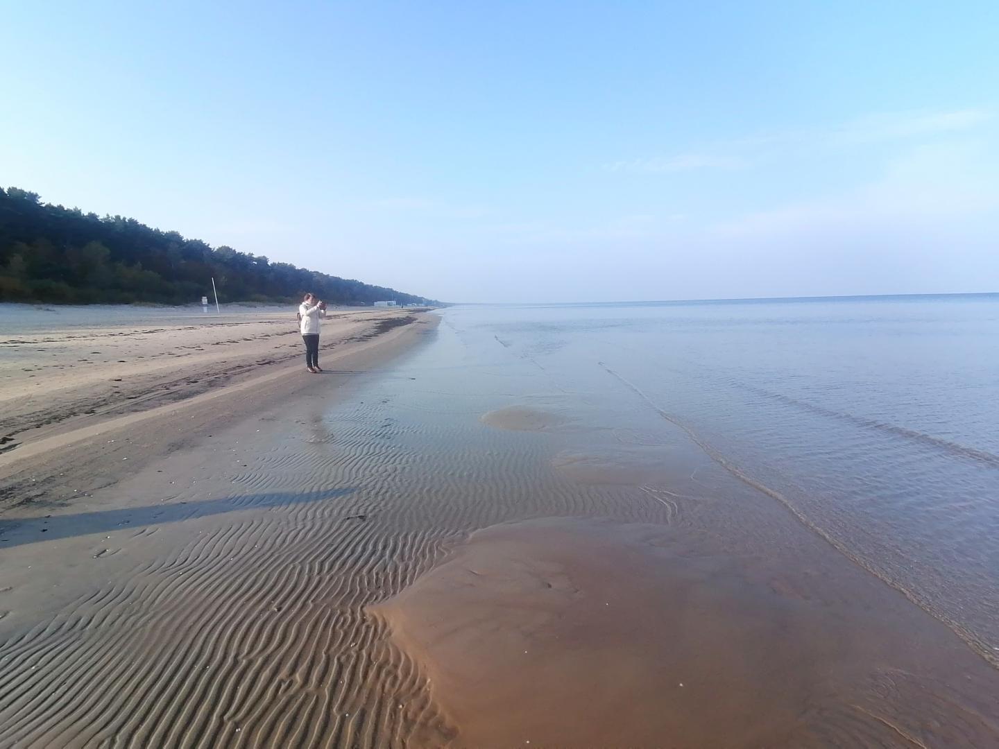 Skaidrė 1