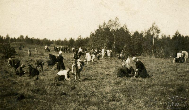 Vilkijos gimnazijos mokiniai sudina Jaučakių šilą. 1936 m.