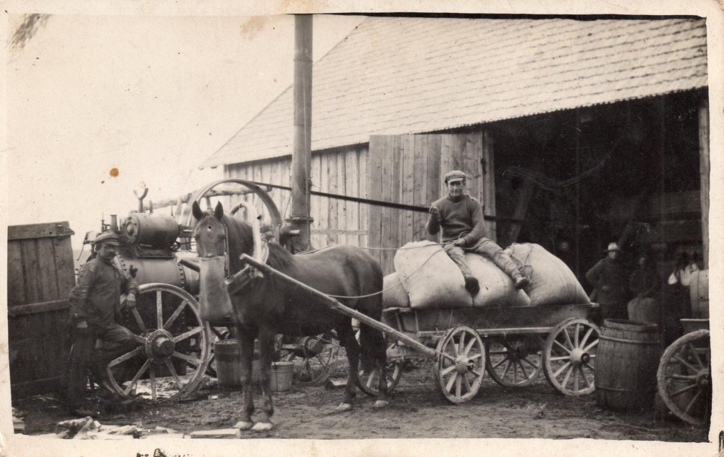 Kūlimo laikmetis 1929