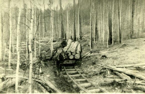 Buriatijos miškuose