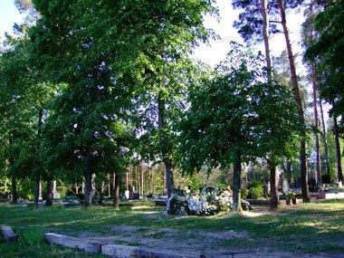2008 gegužės 29 d